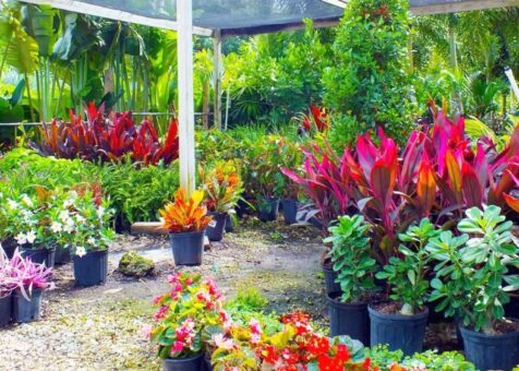 Nursery