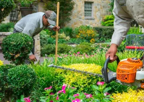 Landscape Service