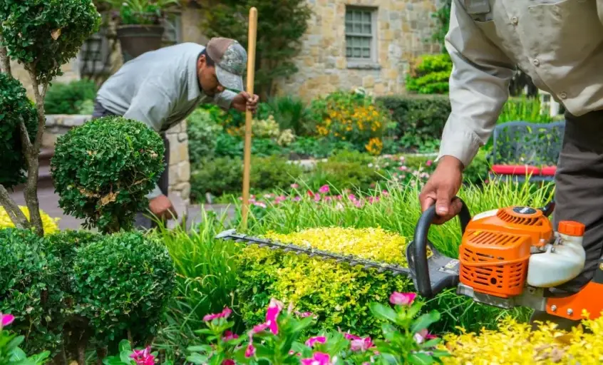 landscape services florida