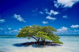 Florida Keys